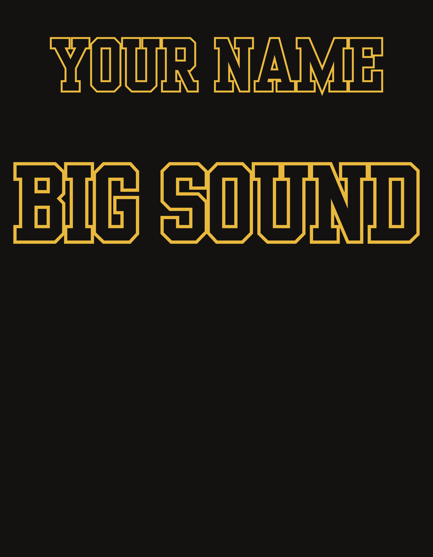 Alcovy Tiger Band - Hoodie with Custom Back