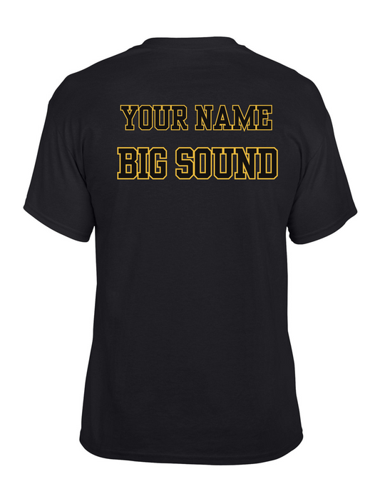 Alcovy Tiger Band - Tiger Band with Custom Back