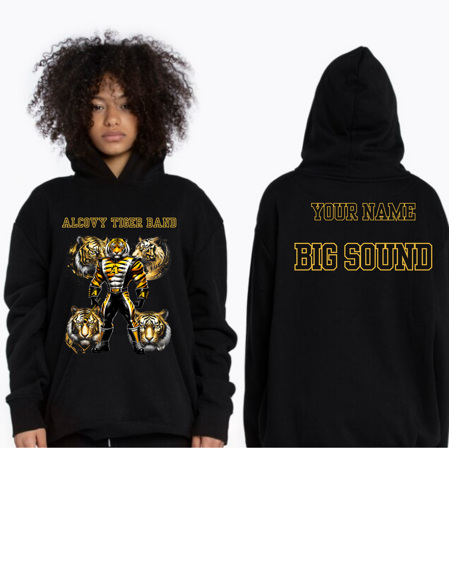 Alcovy Tiger Band - Hoodie with Custom Back